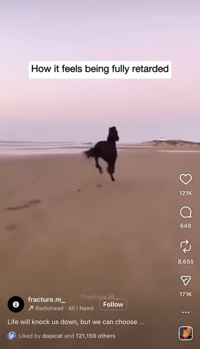 bia’s ender tweet media