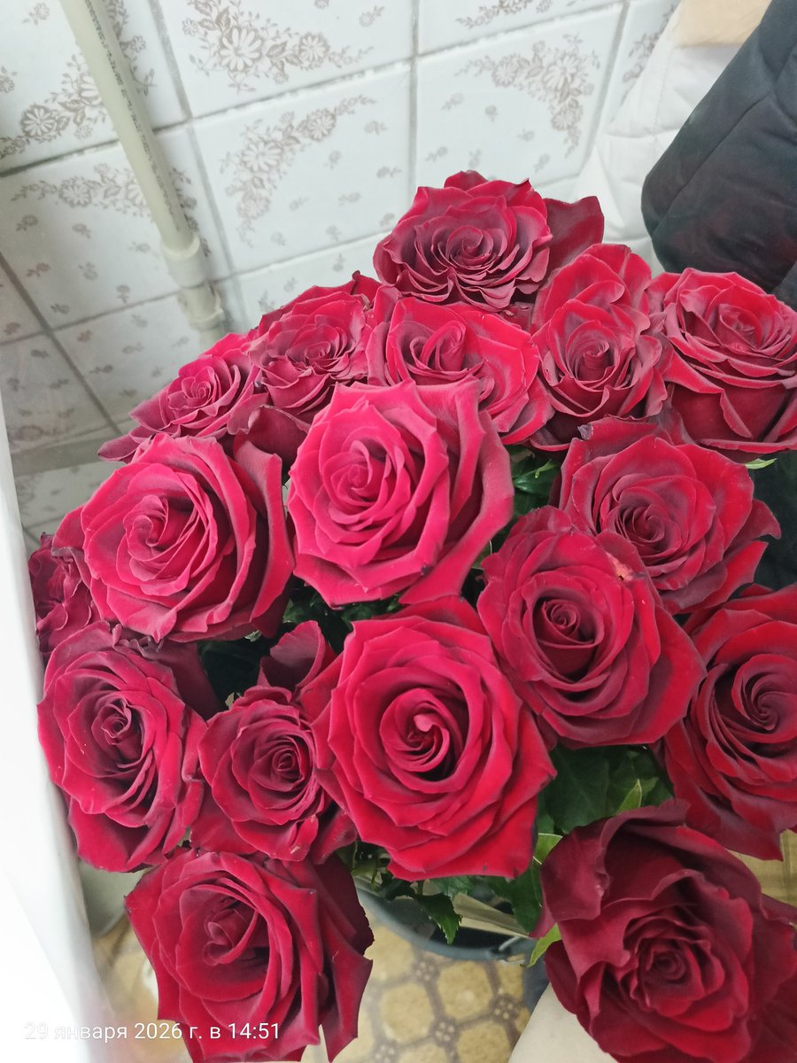 Ну вот,этот год начался с роз... 
Традиция соблюденееа. 
Водолеи, ваш выход)))