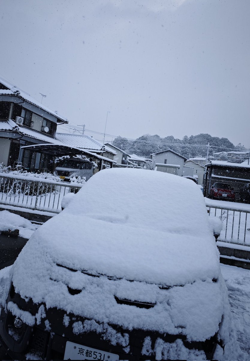 行けども行けども降り積む雪ばかり←大げさ おはようございます