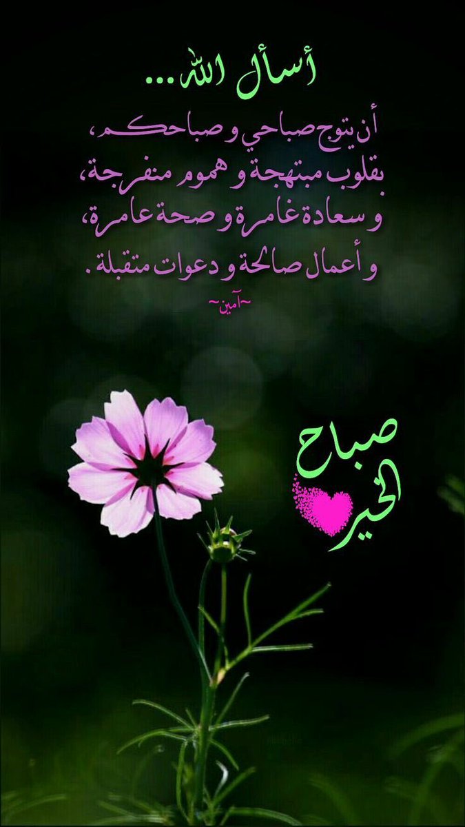 محمد عبدالله احمد الفالح ابو عبدالله (@mohammadalf2017) on Twitter photo 