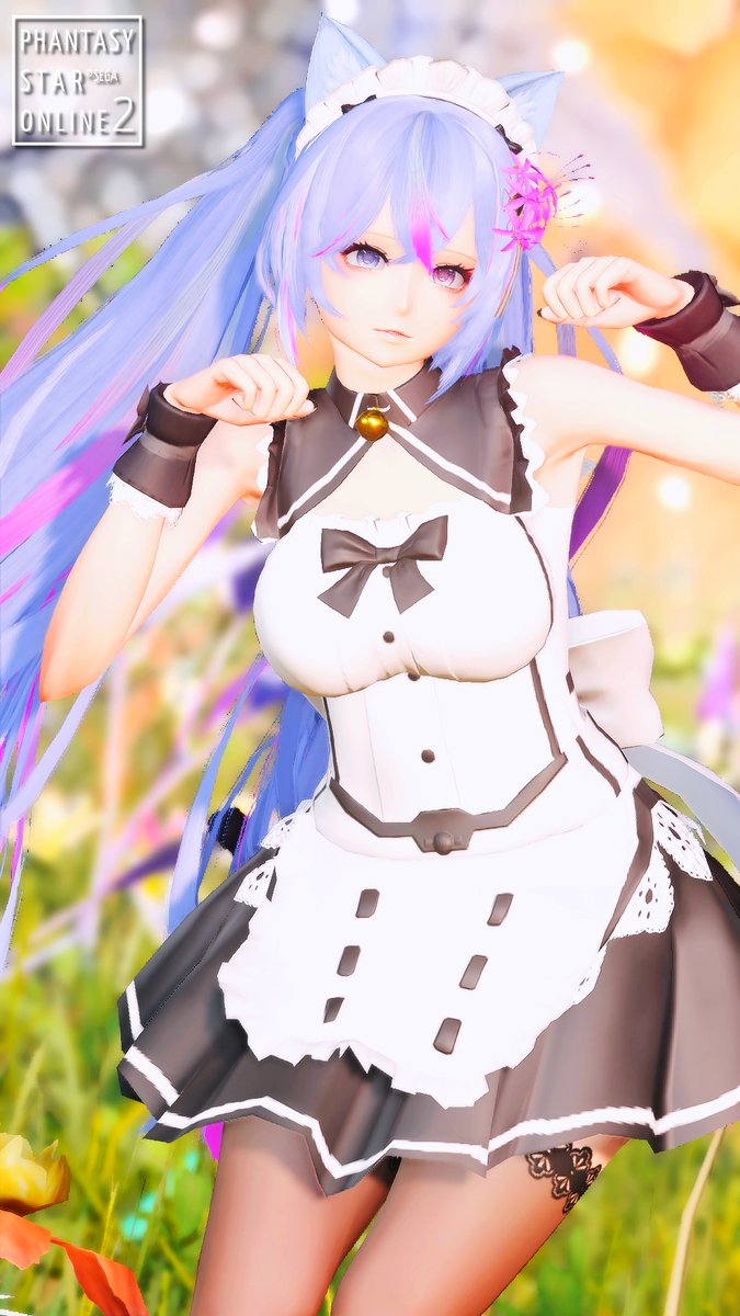 Post by だむ on X: にゃーん