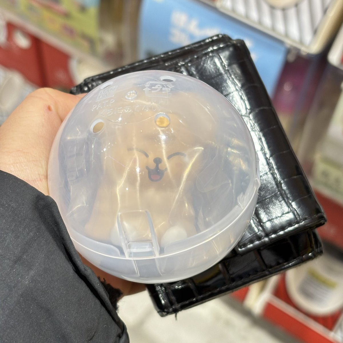 カナ tweet media