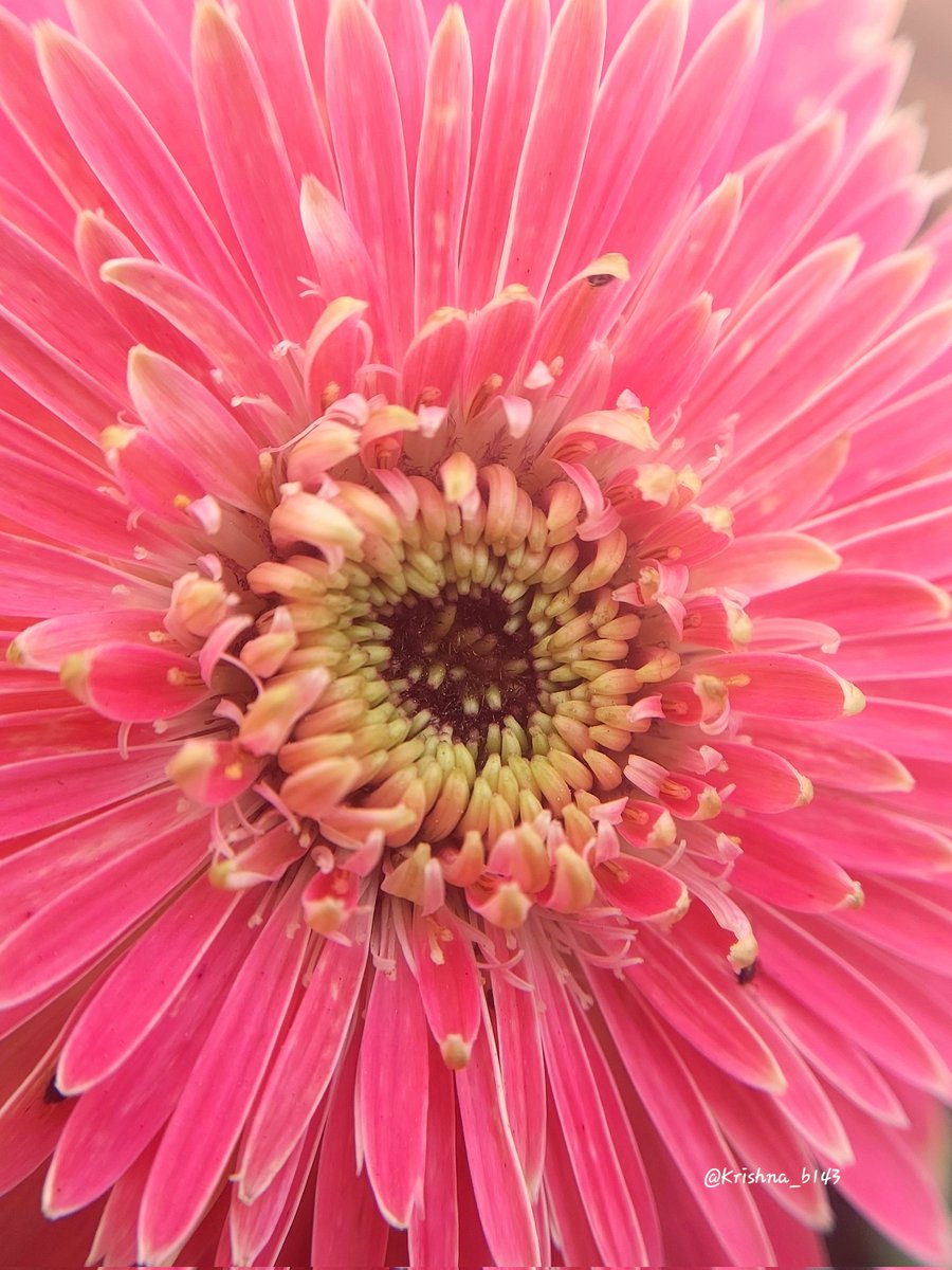 कृष्णा भागडे 🇮🇳 Krishna Bhagade tweet media