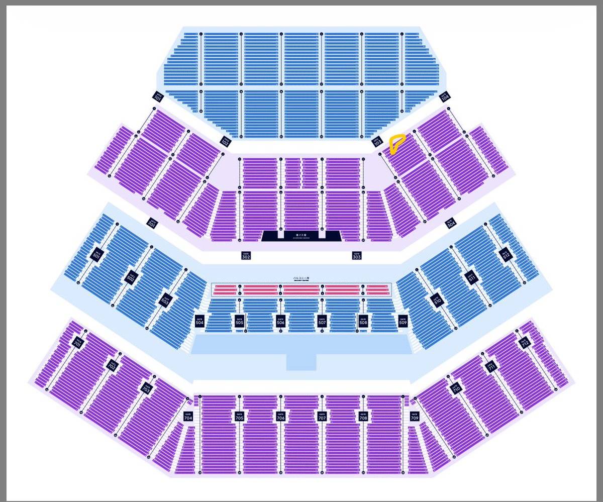 ひらゆー 12/2 ビーバー🦫 tweet media