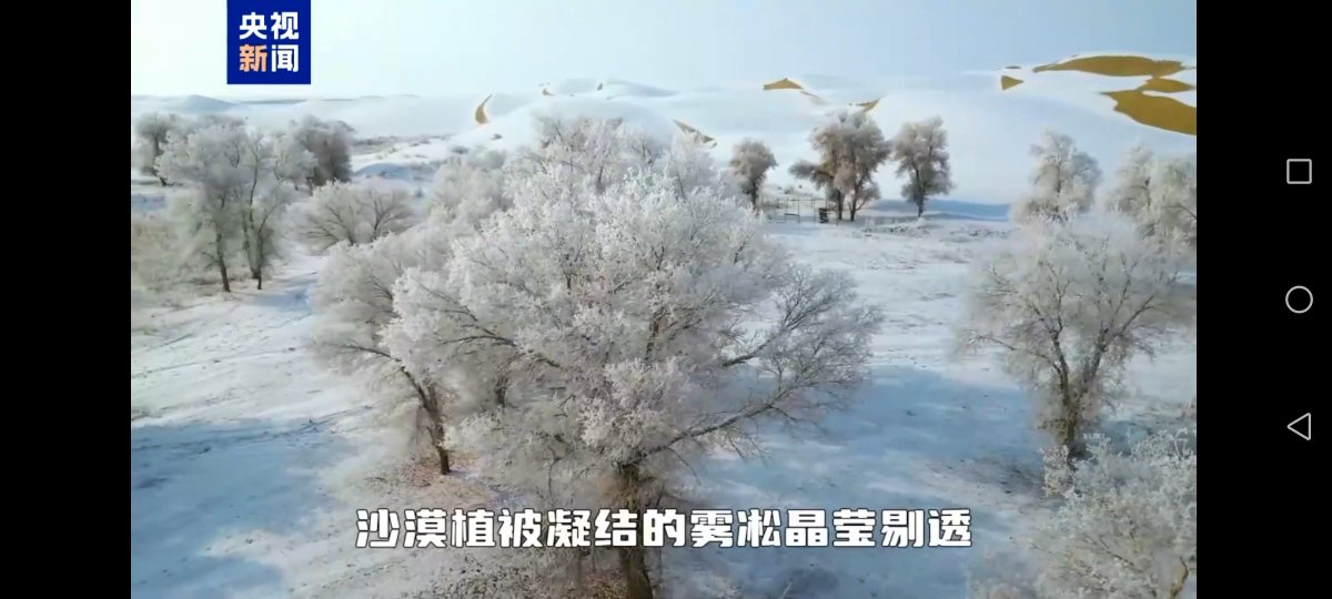 xiaoyue265's tweet photo. 塔克拉玛干沙漠降雪了，美得无法形容。 https://t.co/GSE8Ckmtq1
