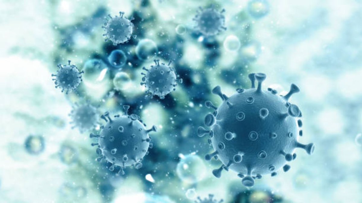 VishalVishwkrm's tweet image. Karnataka: Man dies from Kyasanur Forest Disease (KFD), aka monkey fever. This tick-borne illness causes severe bleeding &amp;amp; neurological issues. Early detection is vital during high-risk seasons! #KFD #MonkeyFever #Karnataka