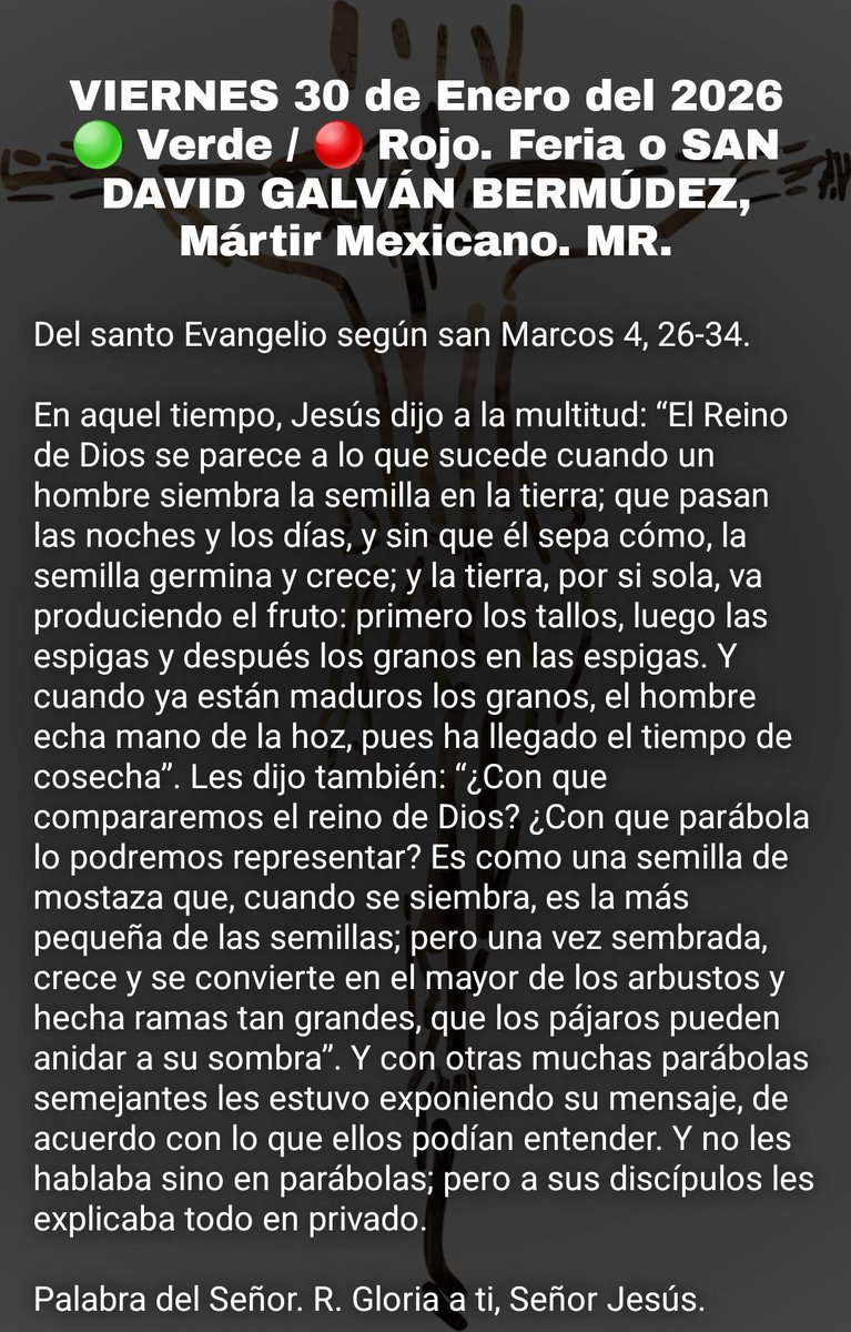 #EvangelioDelDía