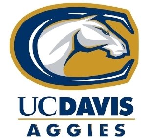 West Park Football tweet media