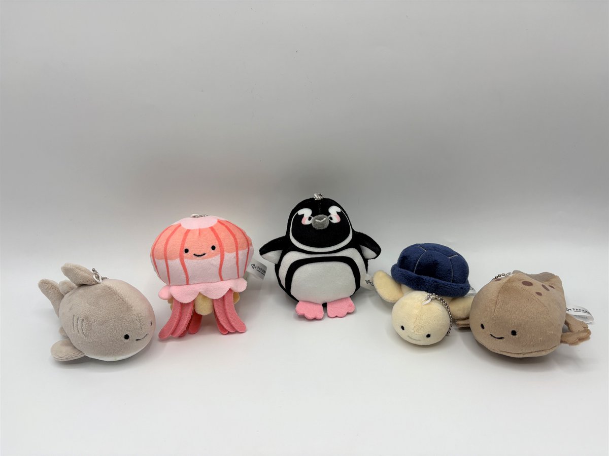＼🐧明日から販売開始🪼／
すみだ水族館で暮らすいきものたちがにっこりーノに仲間入り✨
シロワニ、アカクラゲ、マゼランペンギン、アオウミガメ、トウキョウサンショウウオの5種類です😊
 
みなさんはどのコをお迎えしたいですか？？