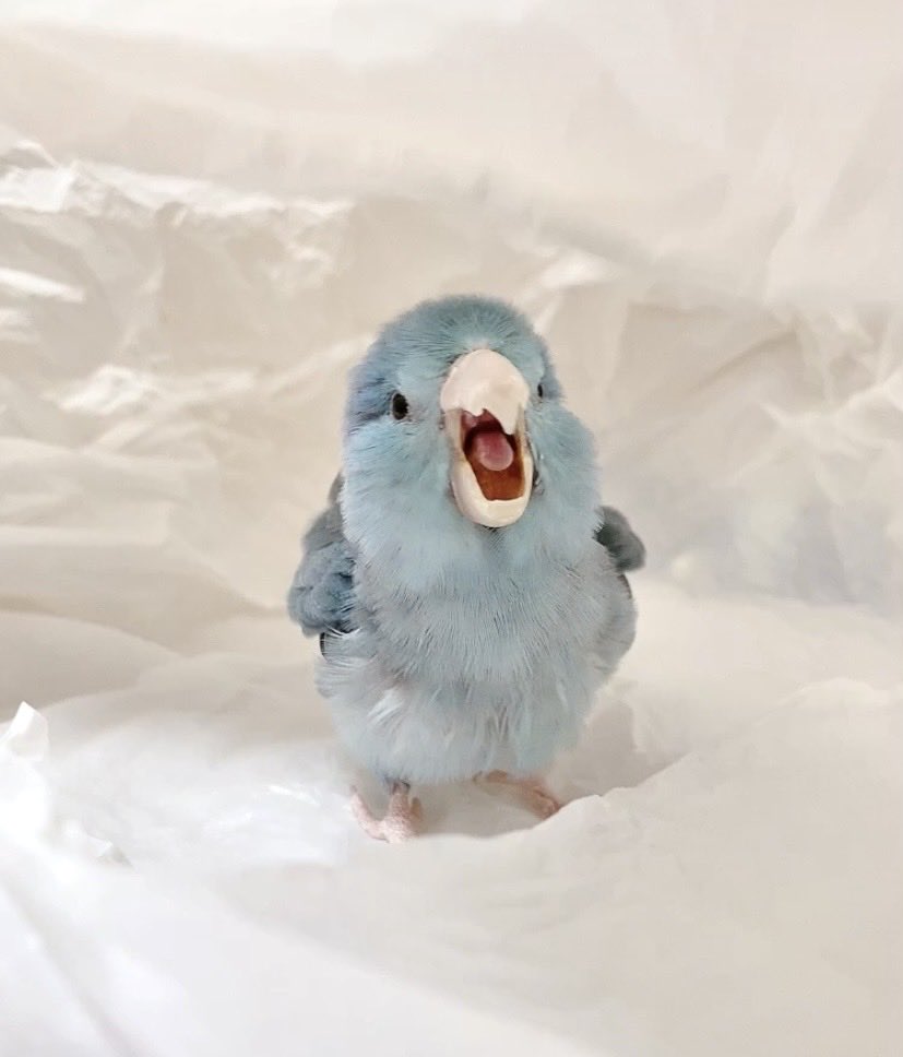 72 (@2cul72) / Posts / X