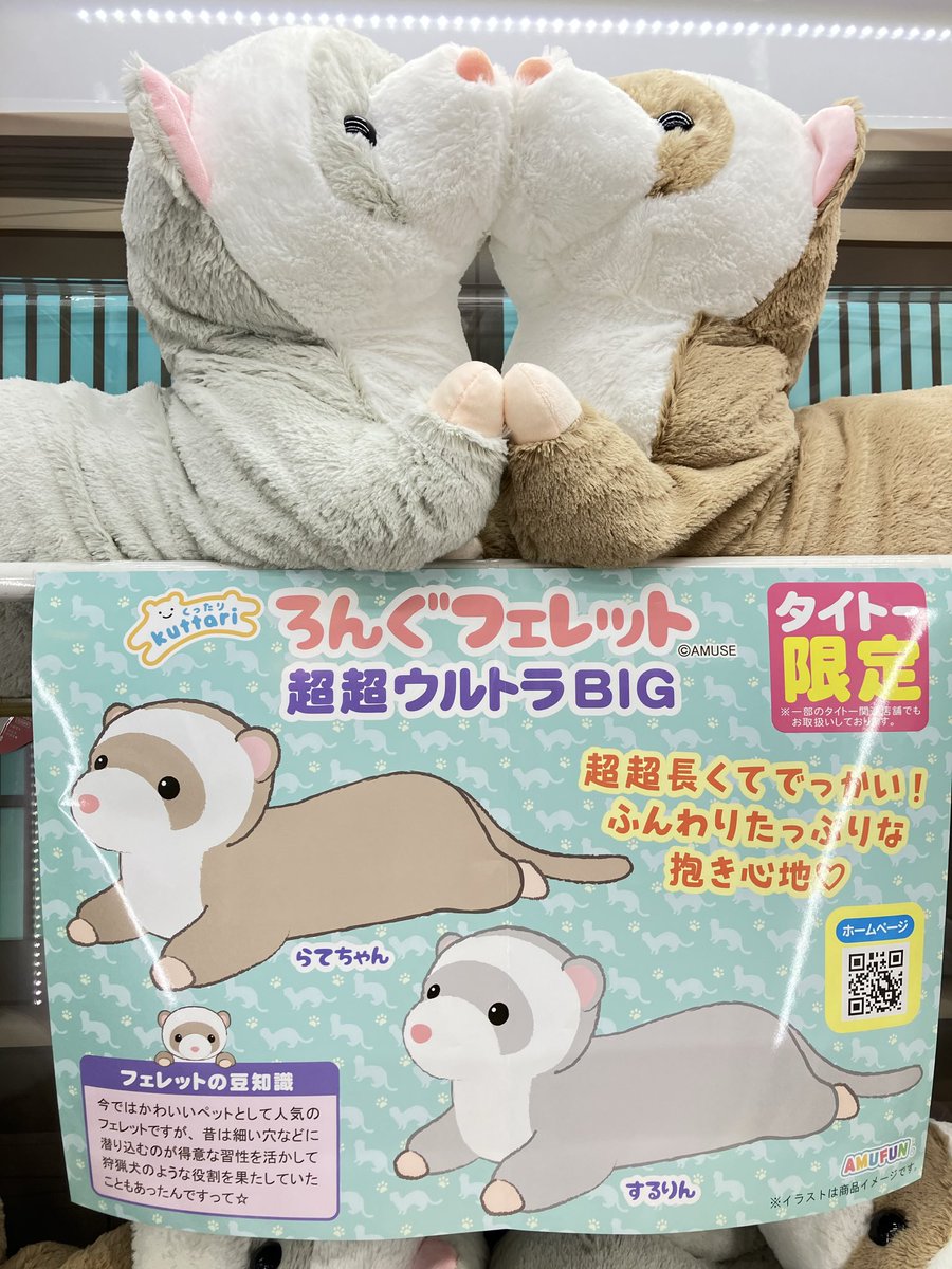 プライズ】 『くったりロング #フェレット 超超ウルトラBIG』 入荷致し