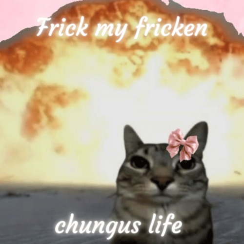 TimOnSol_'s tweet photo. imagine selling on a gake candle + cupsey spam buy button lmao

$chungus to millions https://t.co/n5Rp0kdD9a