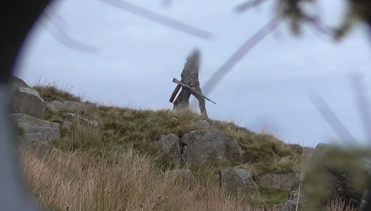 Raptor Persecution UK tweet media