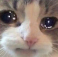 قصة حزيييينه 💔💔
طالبه من <a href="/LaftOud/">Laft Oud لفت للعود</a> و ابخر فالعزايم بس واليوم عازمه صحباتي وجيت ابخر فكانت المفاجأة الخدامه رمته فالزباله!! امانه الموضوع م يستحق البكاء؟ طيب والله م تهنيت ولا بخرت فيه الا مرتين
 احس اسوء من قصة السوداني اللي 
سرق #دخيل_الله_الحارثي اتخطى! مستحيل