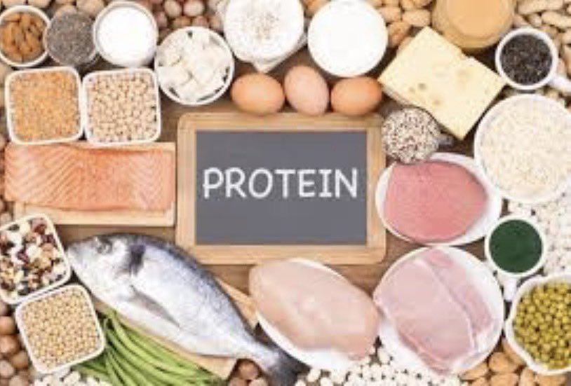 physiocentre's tweet photo. Get up to date science knowledge about PROTEIN, muscle and injury healing at the link - https://t.co/sWfCQxLI17 - from a physiotherapy perspective. https://t.co/Cz3S1y16mk