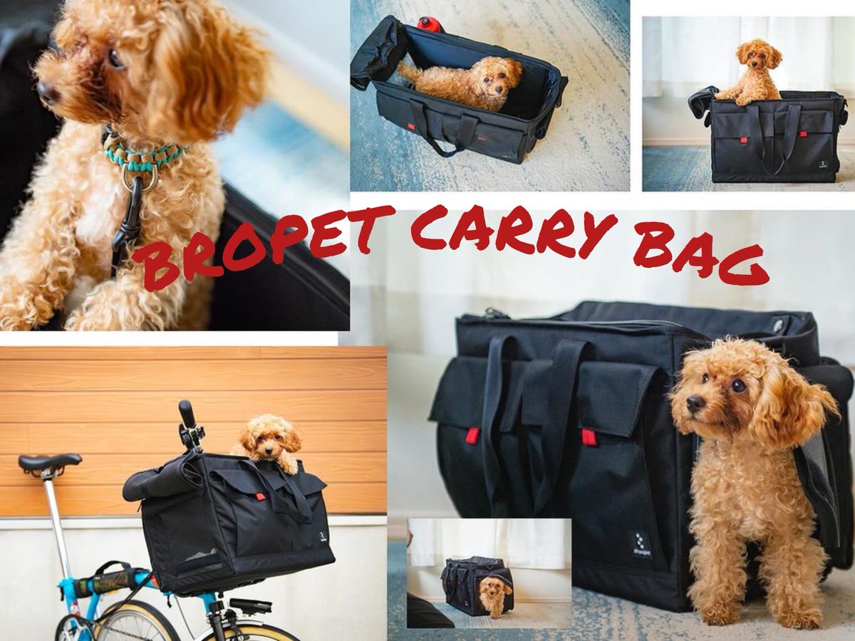 lb_daikanyama's tweet photo. ペットと一緒にブロンプトンで走るための選択肢。
rinproject BROPET CARRY BAG BLACK(フレームなし)。
装着には別売バッグフレームが必須。
詳細は当店ブログでご紹介中です。
https://t.co/aIY3c5E0ag
#brompton #mybrompton #rinproject #リンプロジェクト https://t.co/sUePw4G789