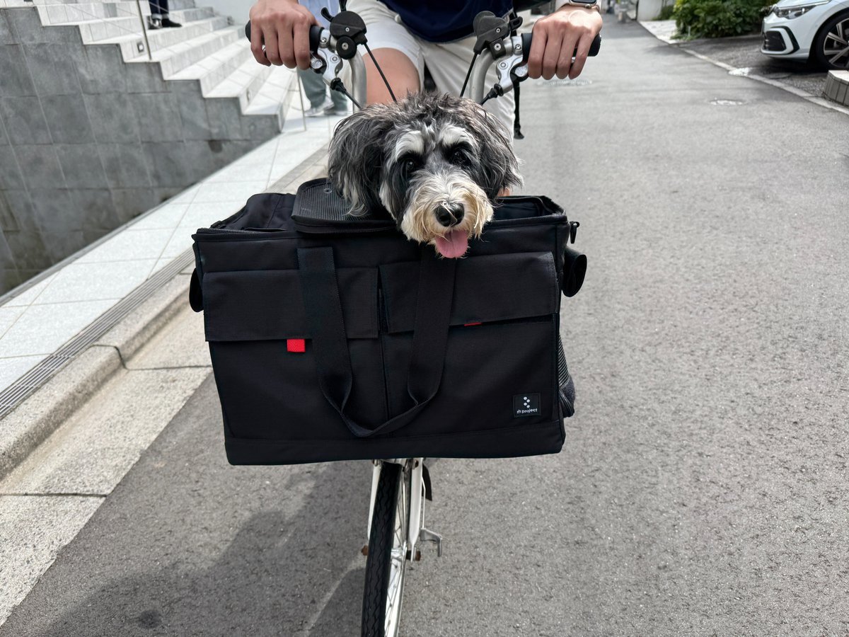 lb_daikanyama's tweet photo. ペットと一緒にブロンプトンで走るための選択肢。
rinproject BROPET CARRY BAG BLACK(フレームなし)。
装着には別売バッグフレームが必須。
詳細は当店ブログでご紹介中です。
https://t.co/aIY3c5E0ag
#brompton #mybrompton #rinproject #リンプロジェクト https://t.co/sUePw4G789
