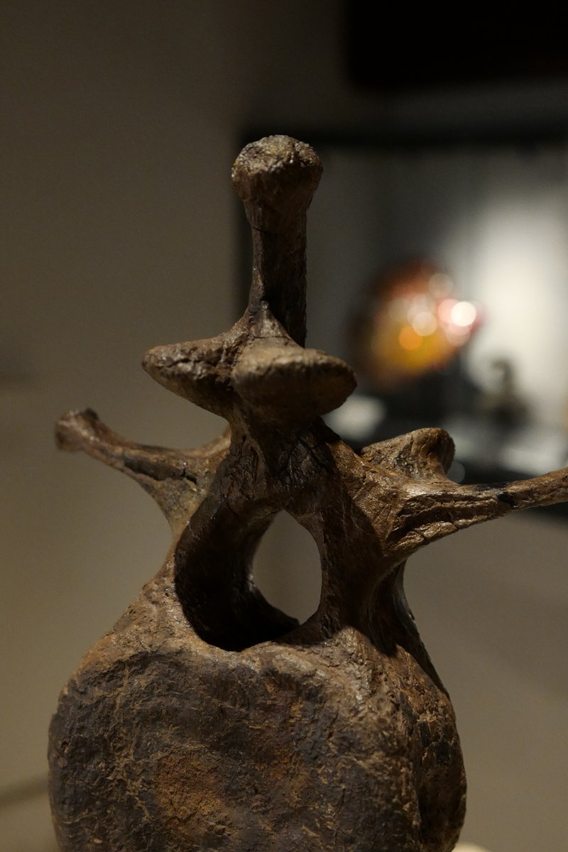 あのトリケラトプスの巨大な頭を支えていた「頚椎（首の骨）」の実物