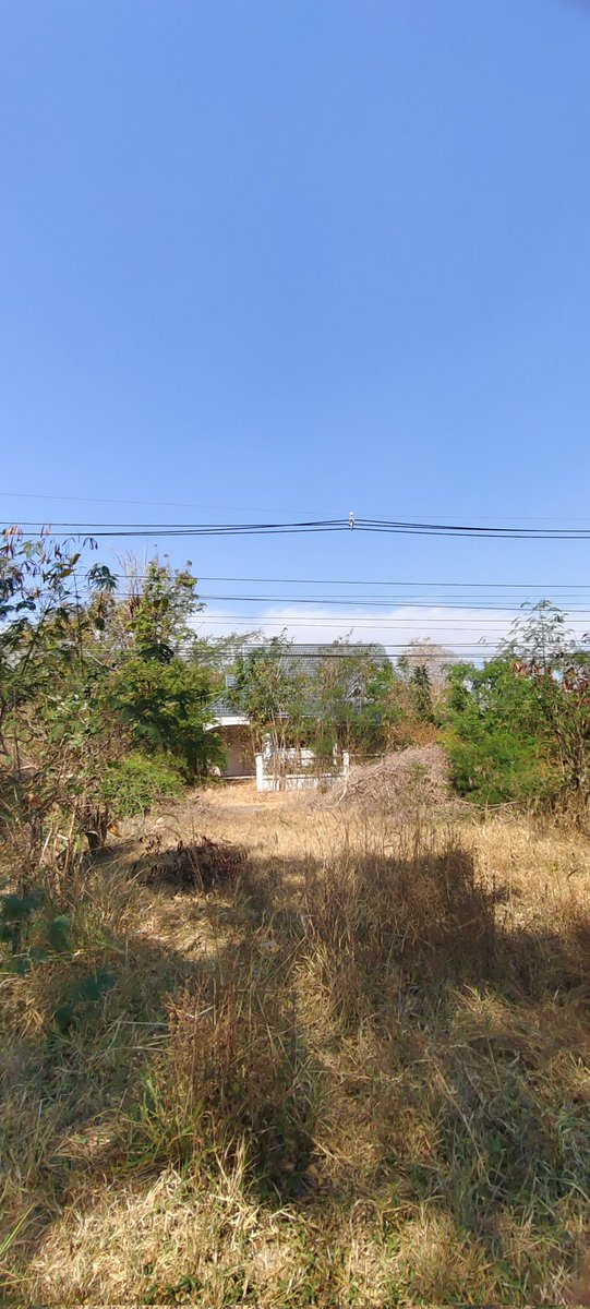 ผม K54 หัวแดงลำตรงขนดกสนใจทักส่วนตัวมา tweet media