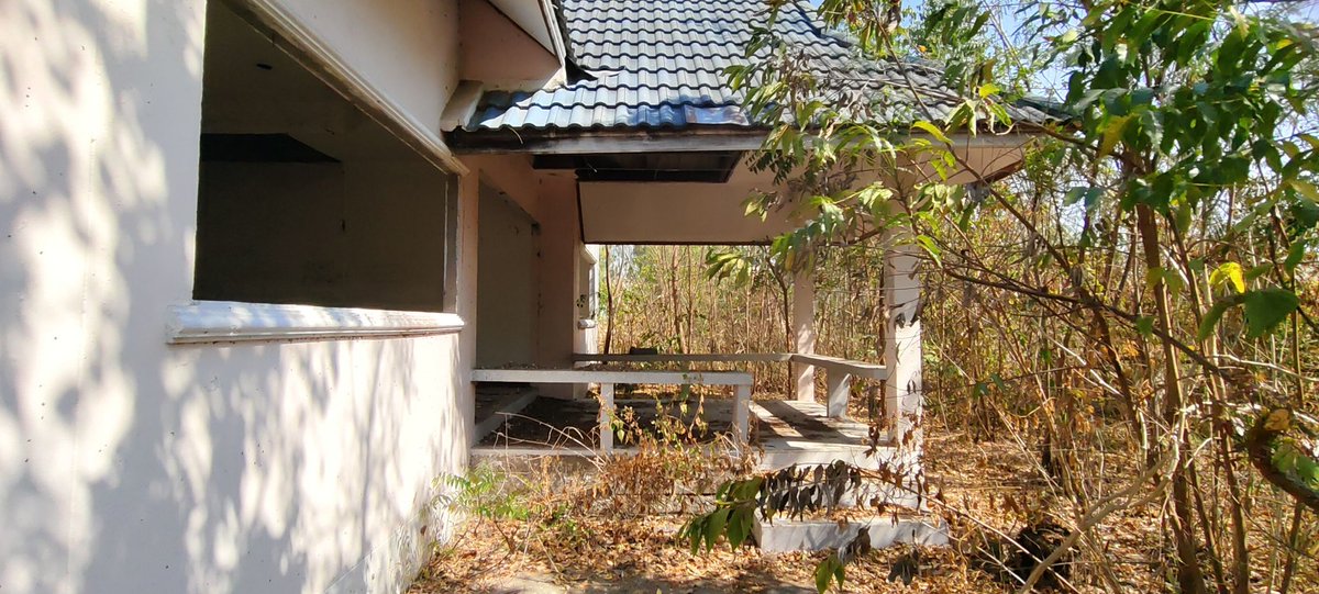 ผม K54 หัวแดงลำตรงขนดกสนใจทักส่วนตัวมา tweet media