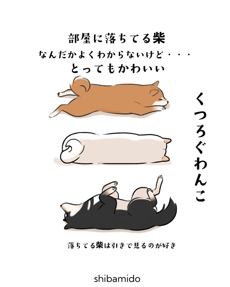 そう感じるのは、私だけでしょうか…👀