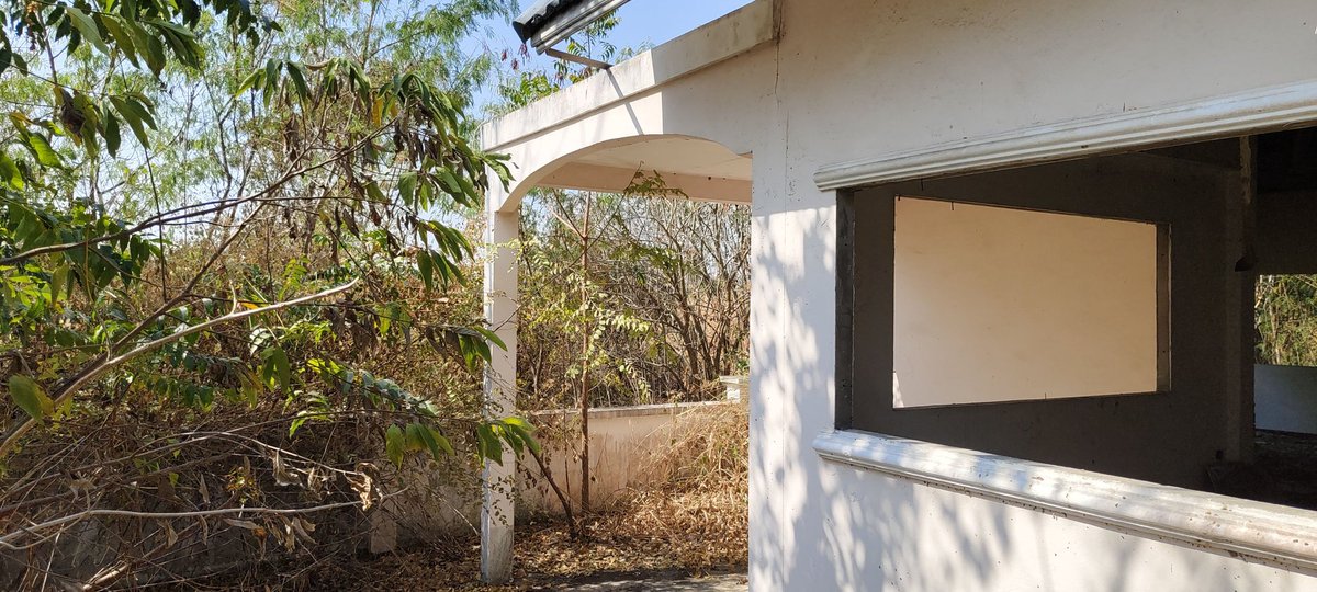 ผม K54 หัวแดงลำตรงขนดกสนใจทักส่วนตัวมา tweet media