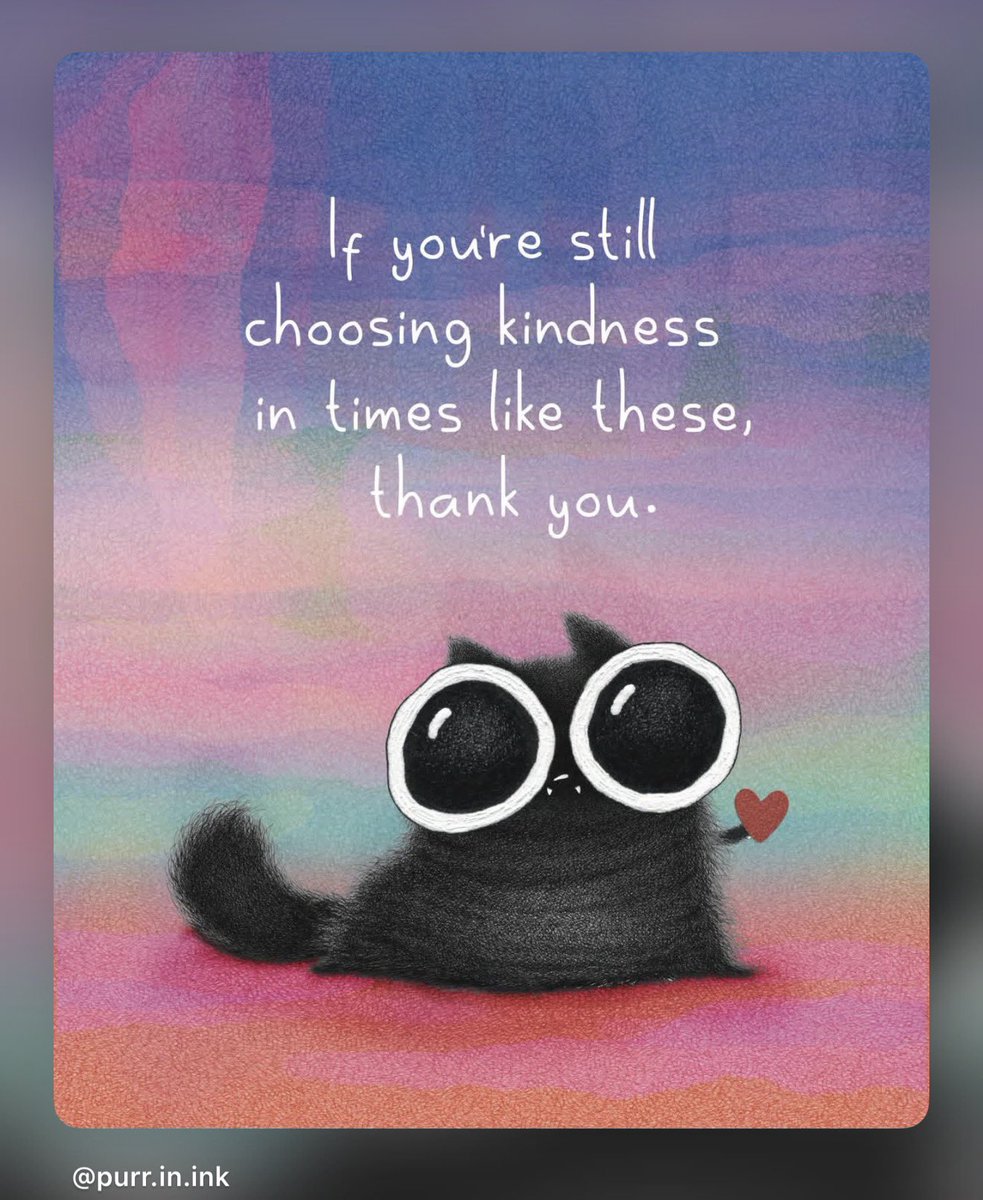 Rachel Suzanne Tien Wood tweet media