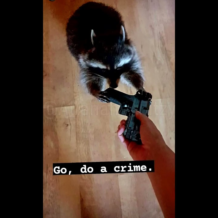 YahomieButters's tweet photo. Biboo really just did the "Go, do a crime" to Fuwawa lol https://t.co/HhVlGUXWzk