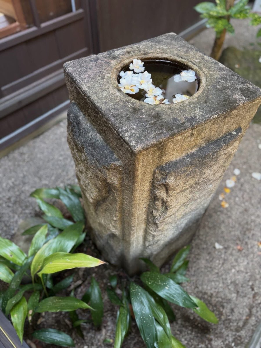 寒いですが、天気の良い1日です！
⁡
昨日から始まった、市民ギャラリー｢水谷寛 写真展｣には多くの方がお越になっております。
また、大広間･下の間では小学生5.6年生による書道展を開催しております。
⁡
最低気温がマイナスを下回る日が続いております❄️
体調に気をつけてお過ごしください！