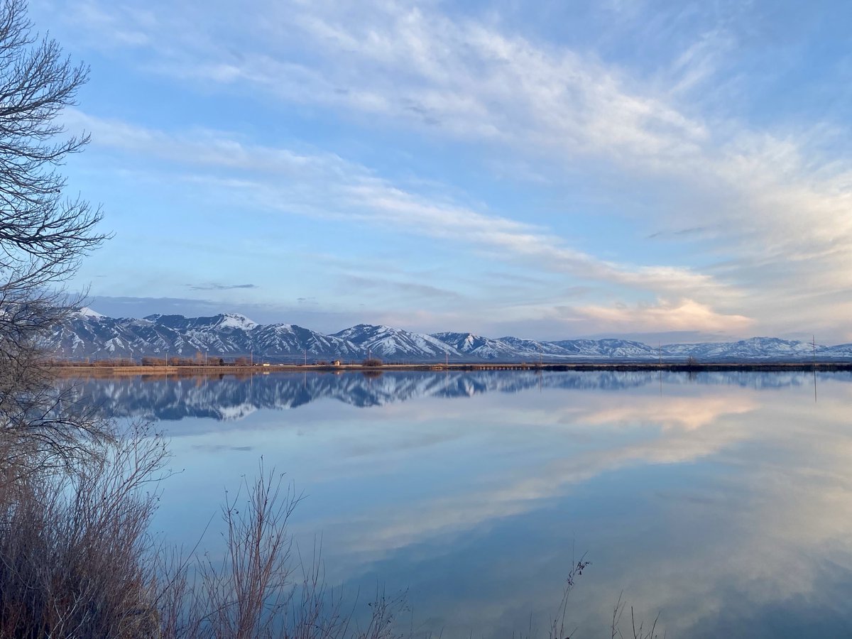 ValEveryday's tweet image. 