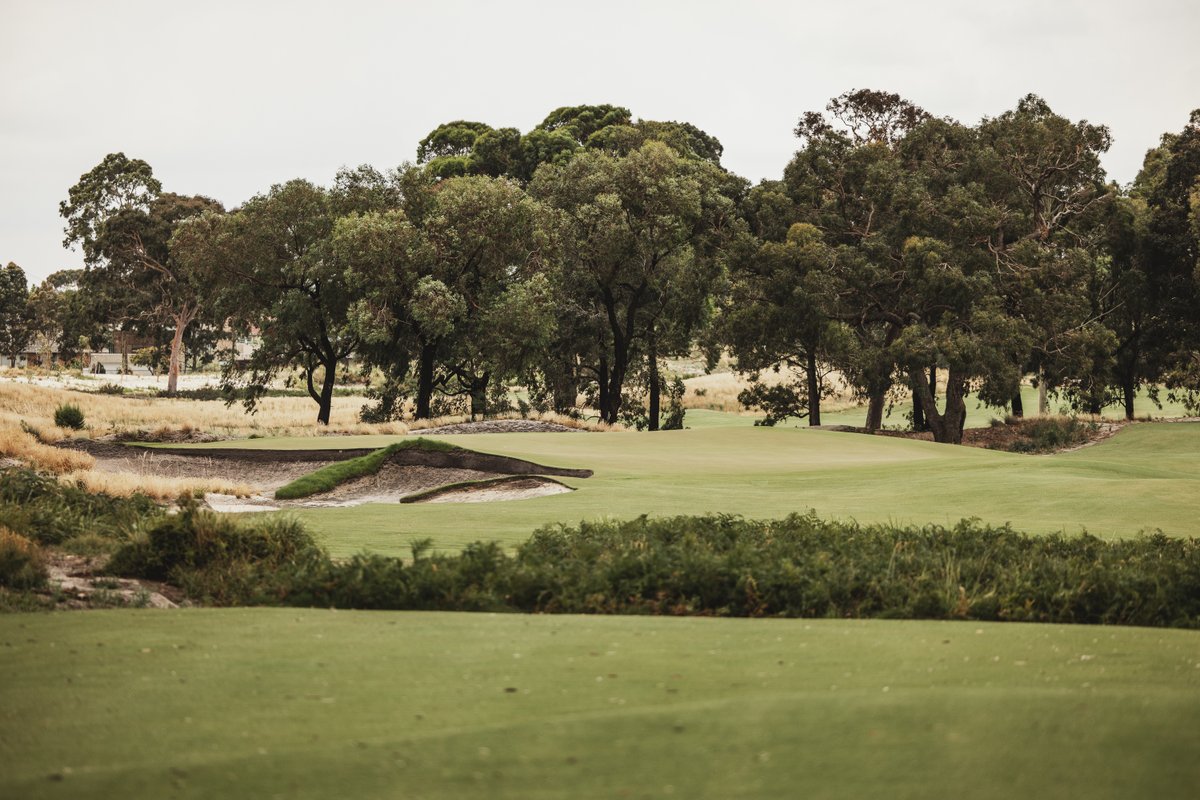 OCM Golf tweet media