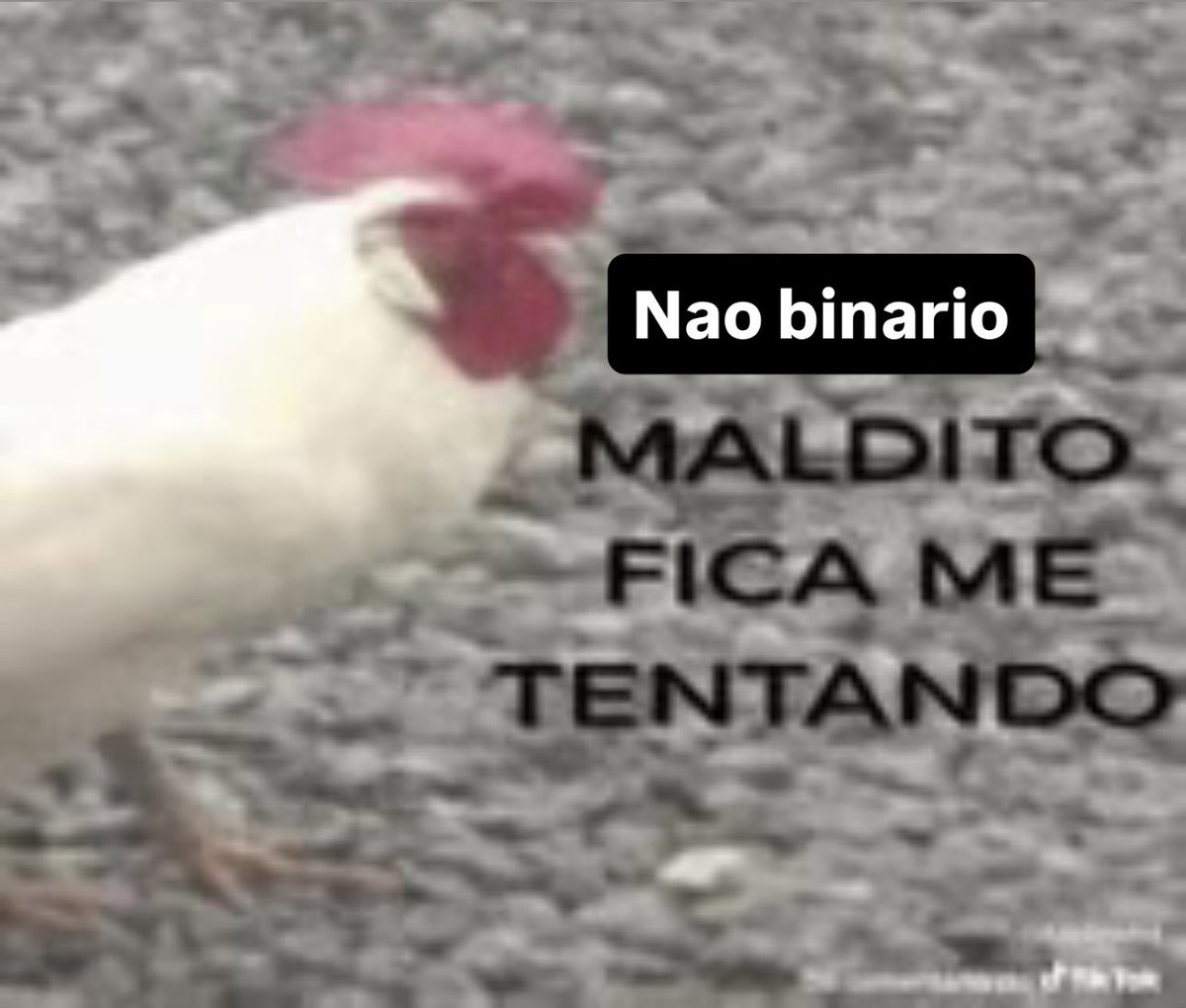 decadenzaput4's tweet image. 