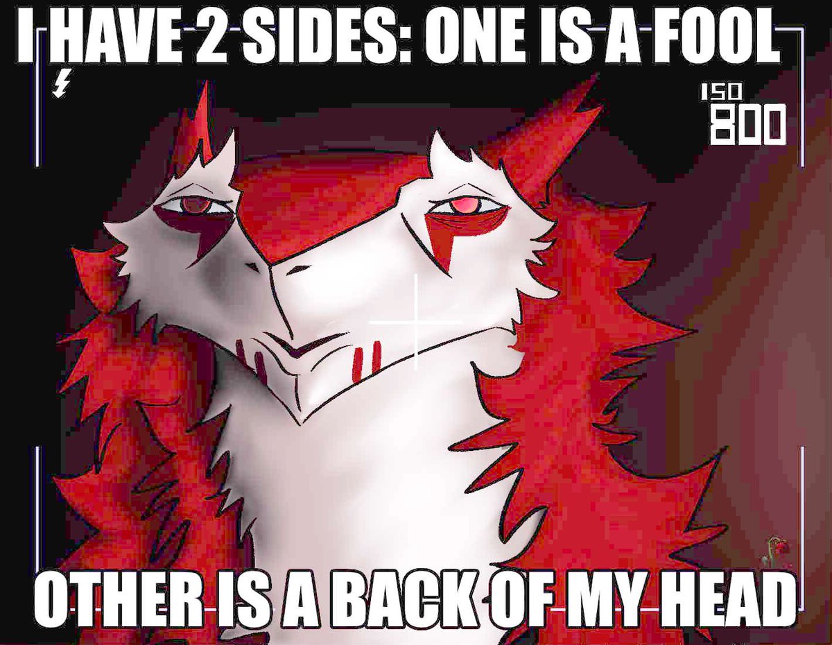 defunctfluff🛹 tweet media