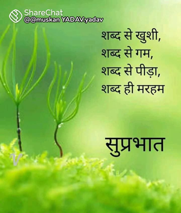 SHAILENDRA3802's tweet photo. 🌹🙏शुभ प्रभात 🙏🌹 https://t.co/3suwx2bYWh