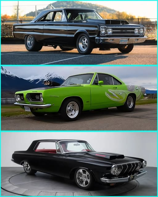 us_connie's tweet photo. Top Middle Bottom? 🤔 https://t.co/bGxjrJl0YT