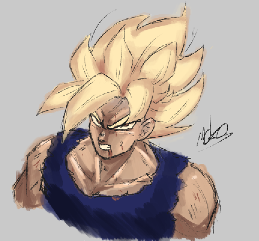 quite fond of this goku fellow