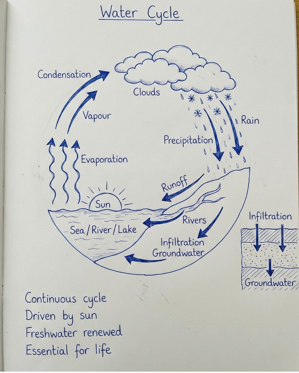 Water Cycle