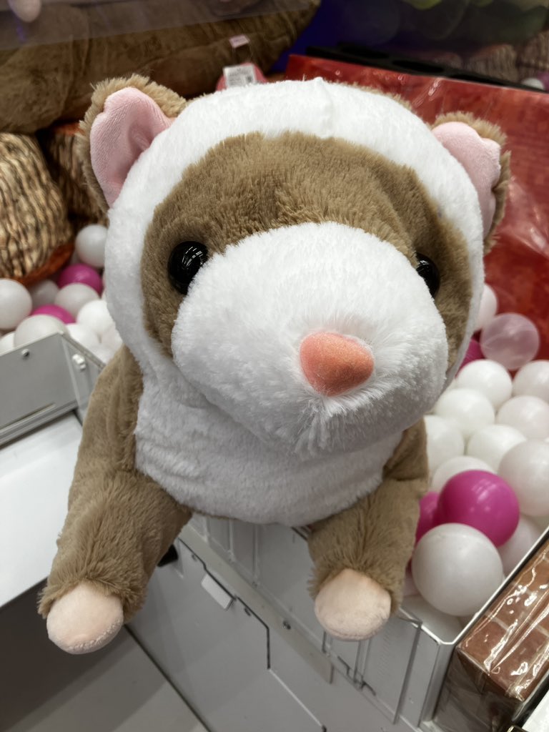 👾新景品👾 くったりロングフェレット超超ウルトラBIG 全2種が入荷致し