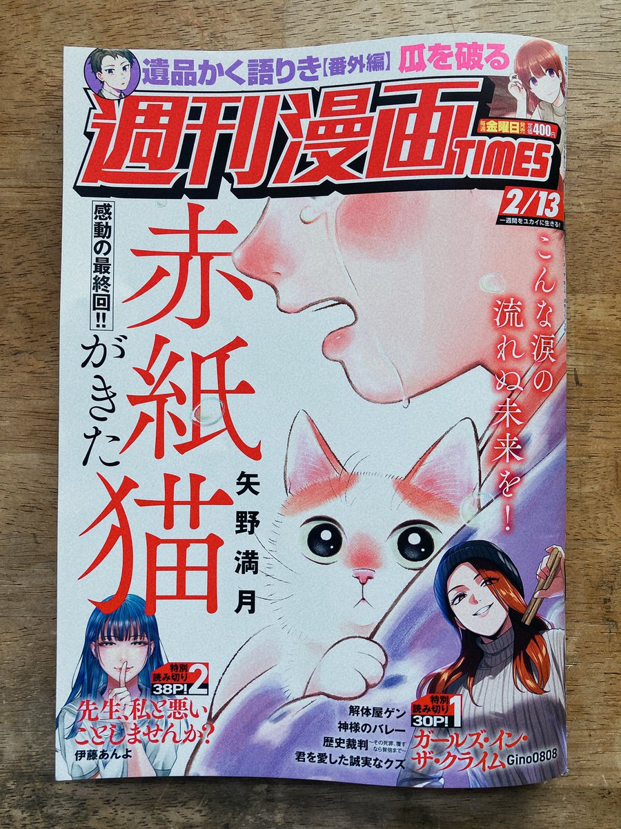 矢野満月🐈 tweet media