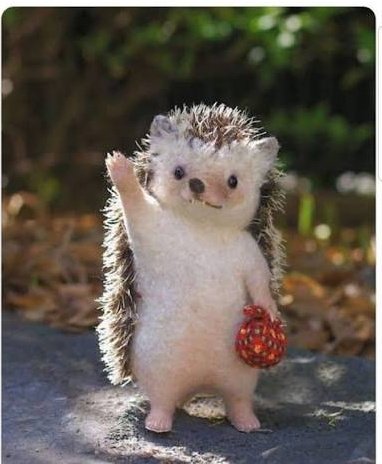 uhjjeoragoo's tweet image. 안녕! 난 행운의 고슴도치! 이 사진을 본 당신은 기분이 좋아지고 기가 막히게 좋은 2월을 맞이하게 된다!