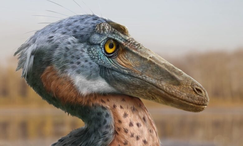 La República tweet media