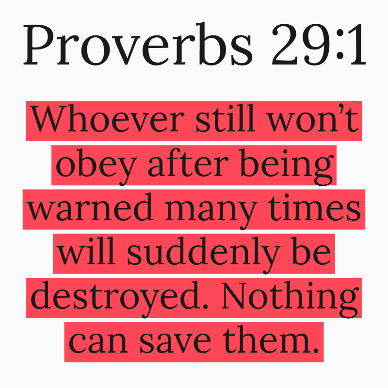 Holy Bible tweet media