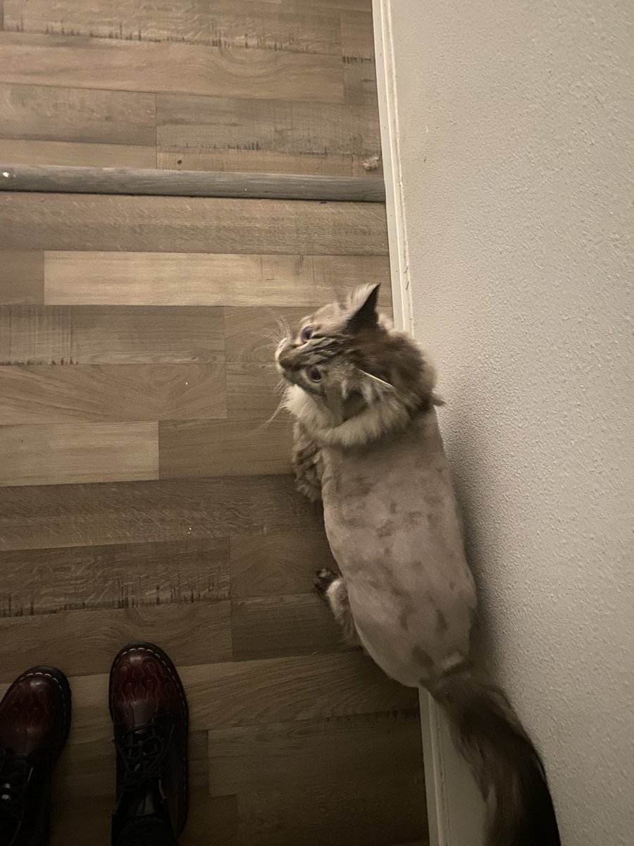 okey so’s… momby an DA VET stole mine damn clothez???