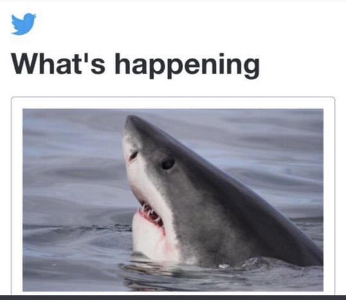 caitIyn (@caitsdespair) on Twitter photo 