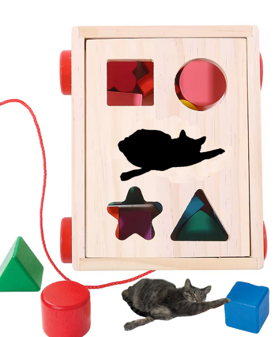 trackingvoid tweet media