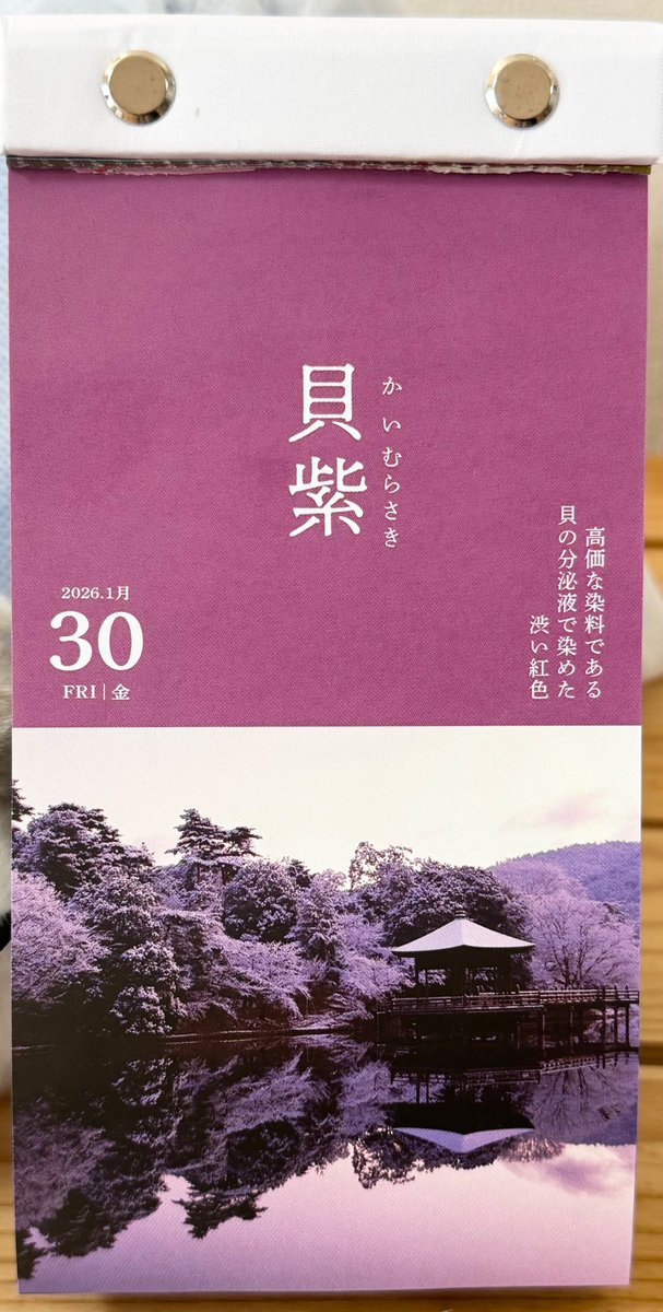 「…ふふ」「なとり？」「いえ、あなたの目の色、朝日を浴びるとそんな色になるんですね」「まだ眠いなら寝ても構いませんよ」「かわいいなあって思っただけですよ」