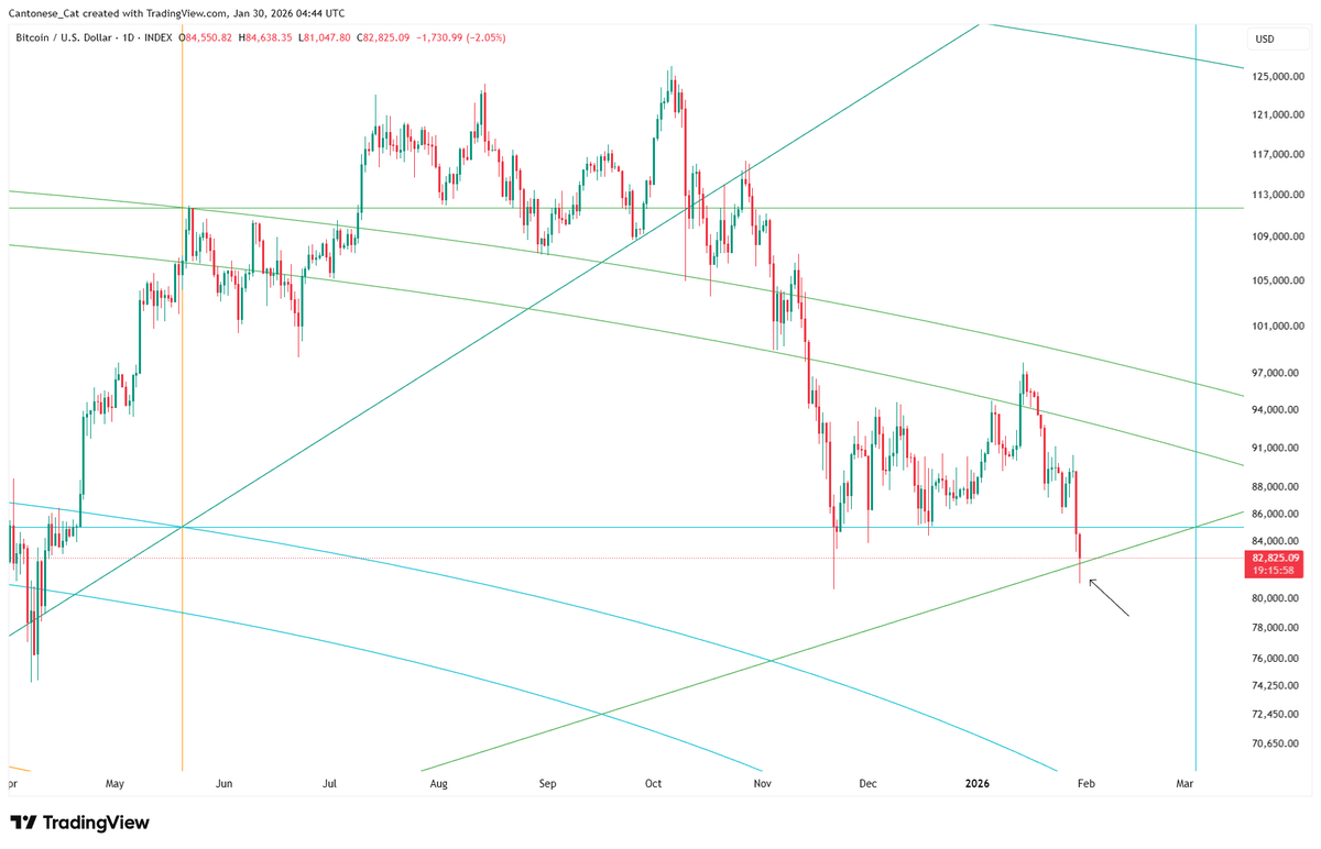 Cantonese Cat 🐱🐈 tweet media