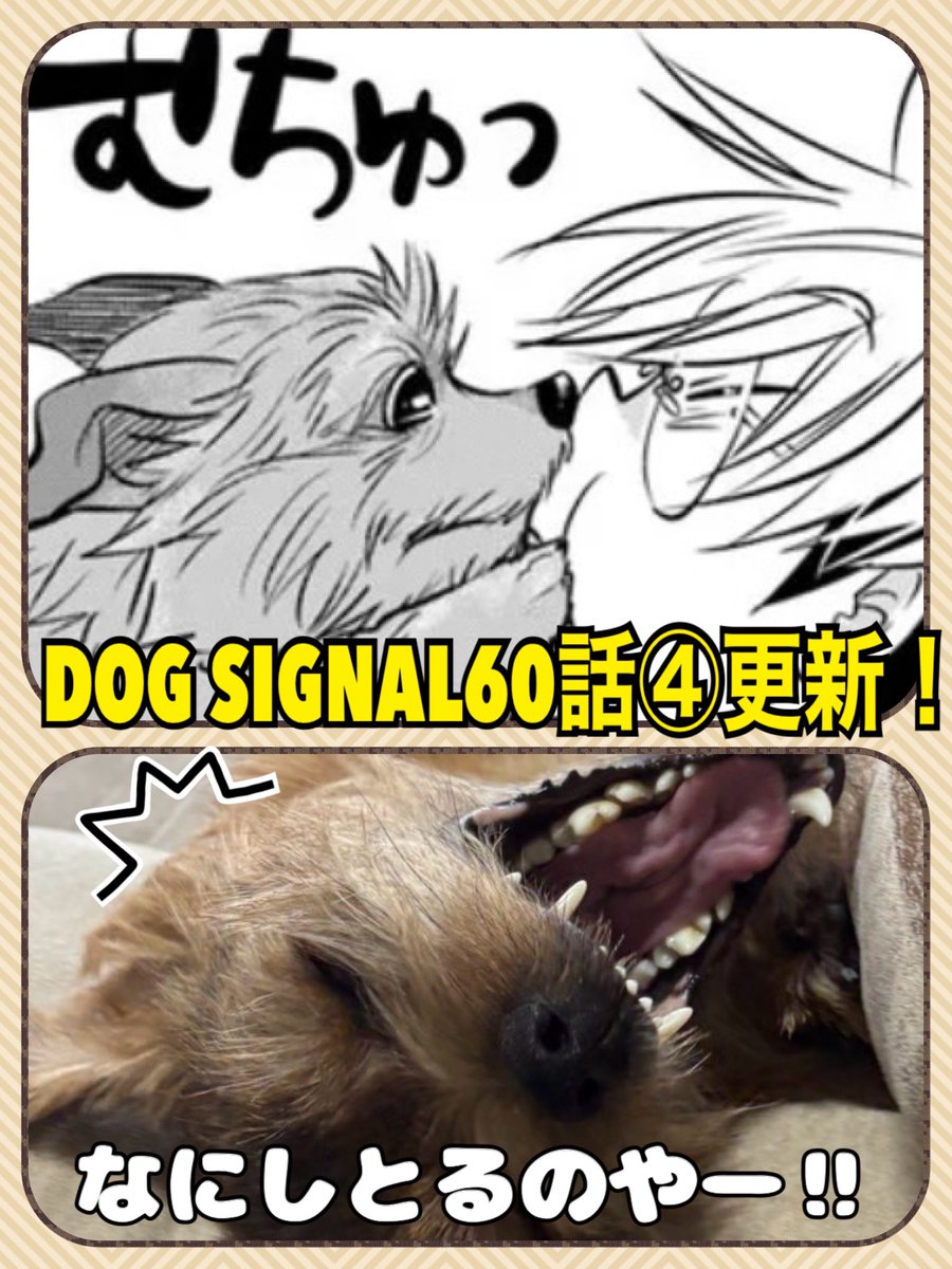 うに (@Ij3SH1V2dD9XMuz) / Posts / X