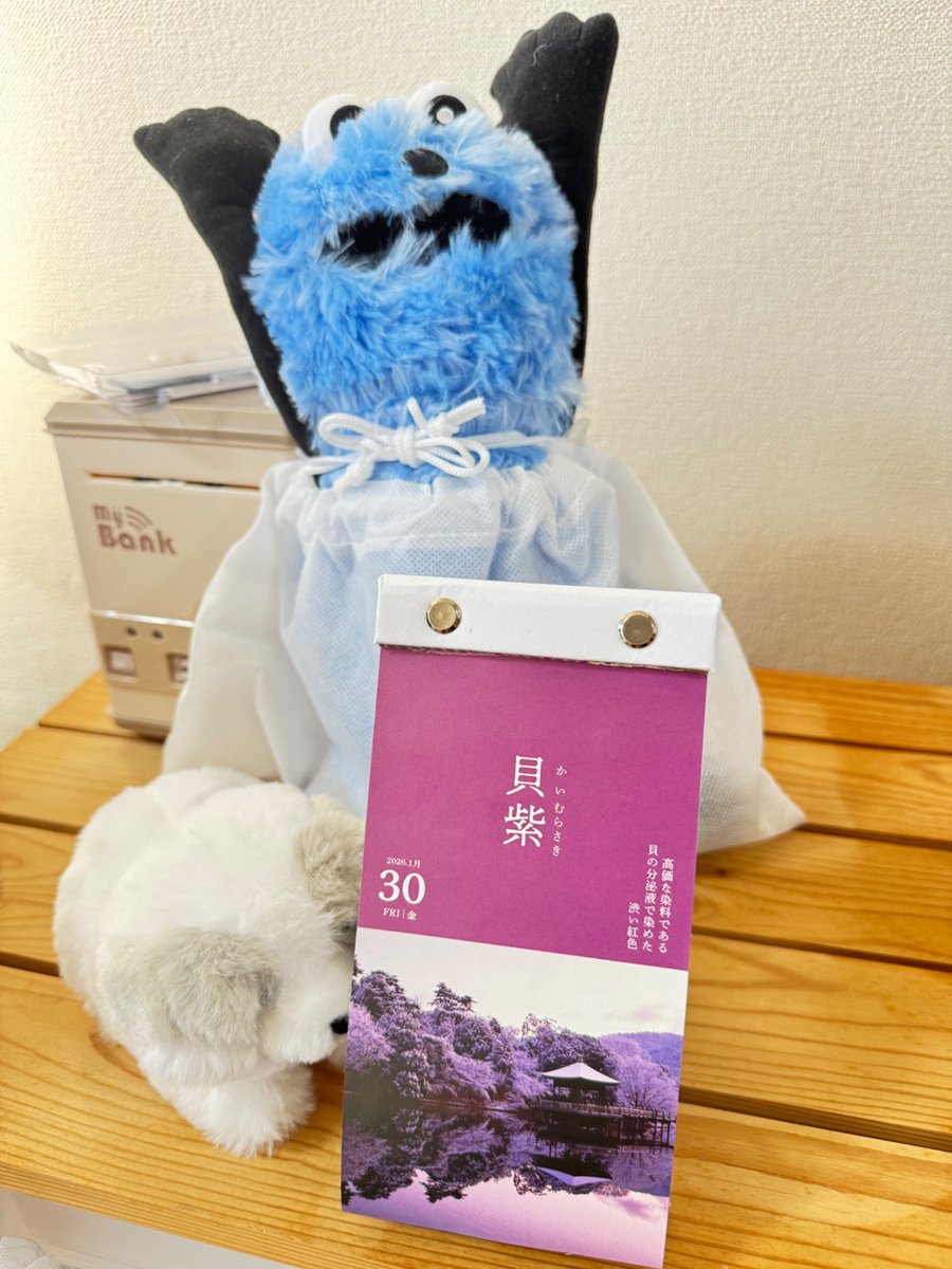 日めくり可愛い色が多くて毎日が楽しい　後ろの情報量が多いからトリミングしたけど、スンもワンもかわいい