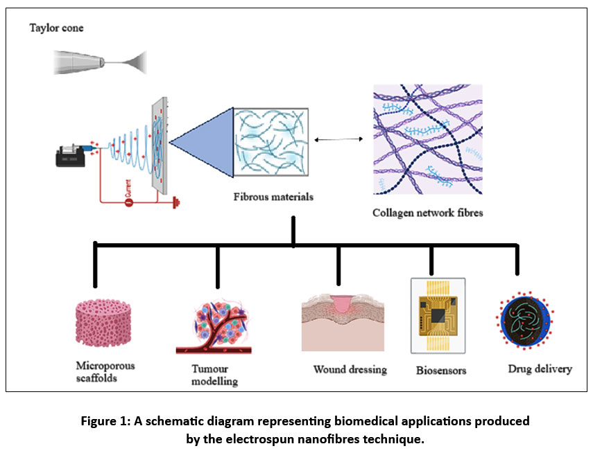 Orienjchem's tweet image. Electro Spun Nanofibers for Biomedical Use: Fabrication Approaches and Functional Insights

Read the Article here: bit.ly/3LYhg9T

#Biosensing #Electrospinning #Nanofibres #Polymers #Tissueengineering #chemistry #biochemistry #nanomaterial #analyticalchemistry